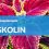 Forskolin Extract – Supplies The Right Nutrition For Your Weight-Loss!