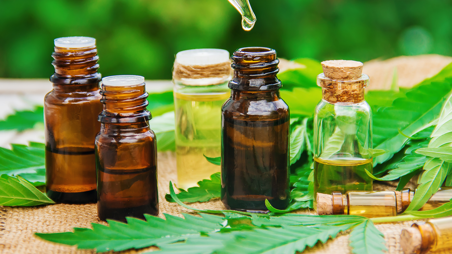 What are the Benefits of CBD?